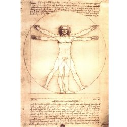 Dokumentmappe med "DA VINCI" Anatomy motiv 